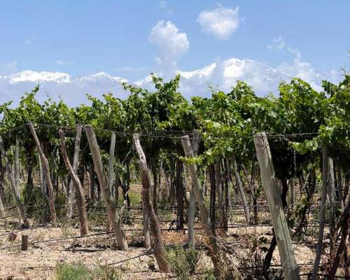 Finca de 13ha el Carrizal Pozo y Goteo