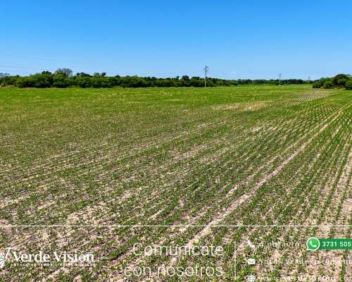 89 Has en Venta - Pcia del Chaco, las Breñas