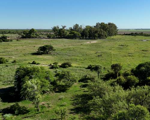 Venta Campo San Cristóbal, Santa FE. 1.280 HA.