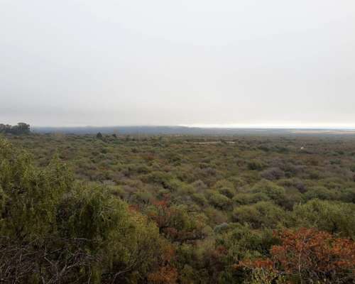 18 Has Llanas con Gran Frente Leandro Alem San Luis