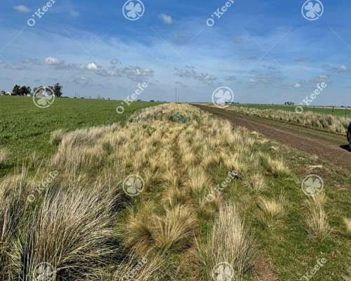 Campo en Venta de 667 Has en Gonzales Chaves