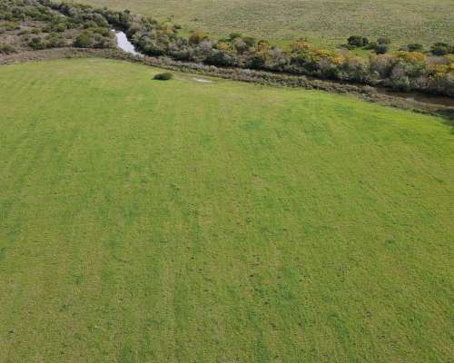280 Hectáreas Agrícolas, Todas las Mejoras. Gualeguaychú.