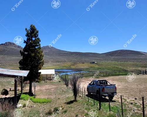 Campo en Venta de 4394 Has Comallo, Rio Negro