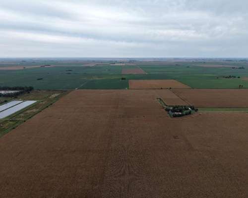 47,33 Ha Firmat Santa FE