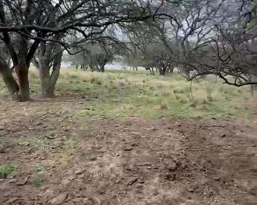 500ha Agrícola-ganaderas Sobre Ruta Nacional 35