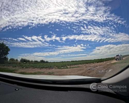 Venta Campo de 659 Ha Sobre Hidrovía el Rio Paraná en Santa