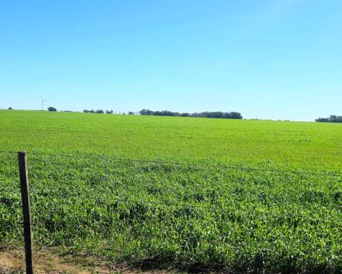 900 Ha Cabildo, Buenos Aires