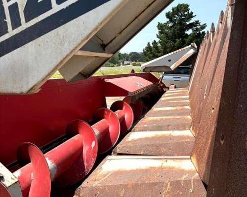 Maicero Maizco Premium de 10 a 70 cm