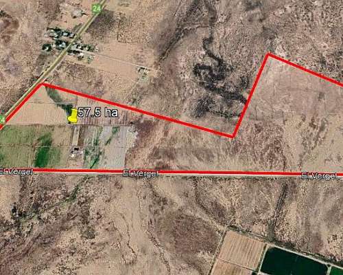 Finca en Venta 57 Hectáreas - Rpn° 24- la Pega Mendoza
