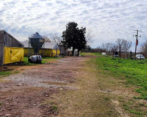 Granja en Venta Sobre la Ruta
