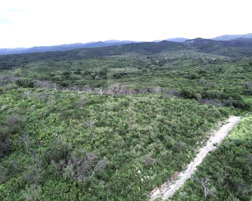Campo 12 HA, Falda del Carmen