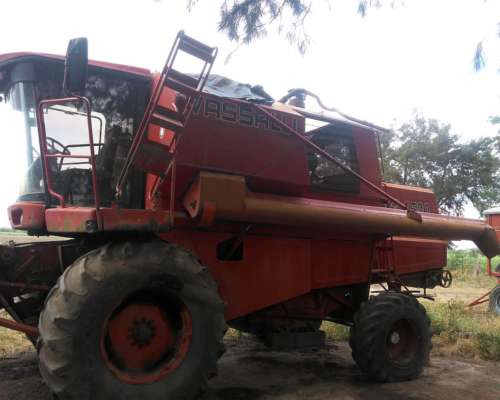 Vassalli 1500 a la Venta