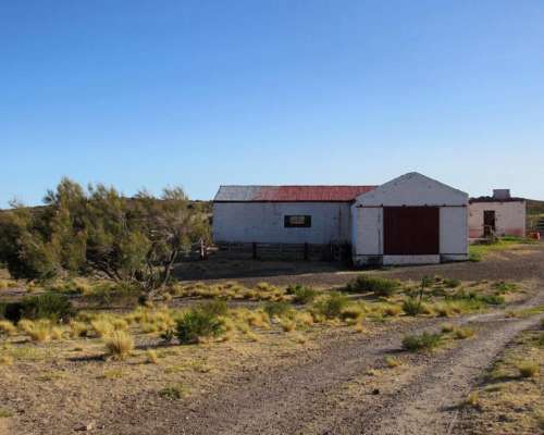 Rawson 4700 Has con 5 km Sobre el MAR Ruta 1
