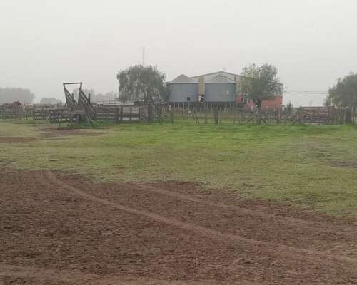 Campo Sobre Ruta en Saladillo