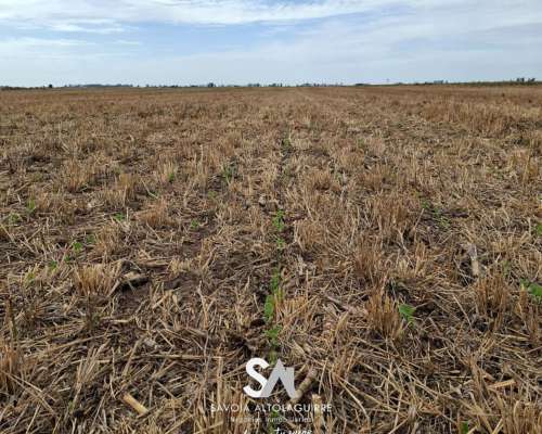 Vende: Campo de 298 Hectáreas. Ubicadas a 3 km al Suroeste D