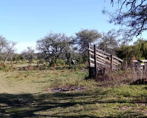 Campo 74 Ha – Pilar, Santa FE – Apto Tambo y Ganadería