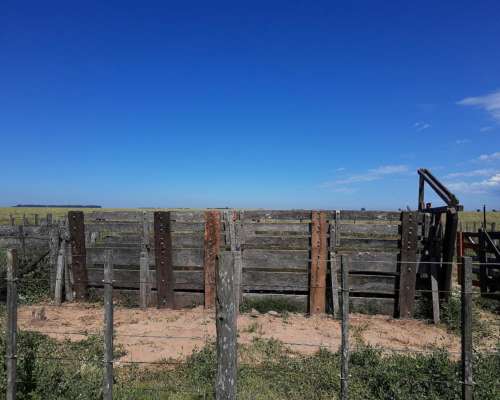 Alquiler de 200 Ha Campo Ganadero Rosales SUR Cordoba