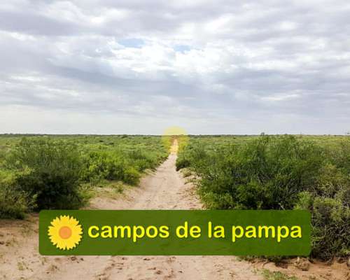 Mendoza - Venta Estancia Ganadera 94.000 Ha