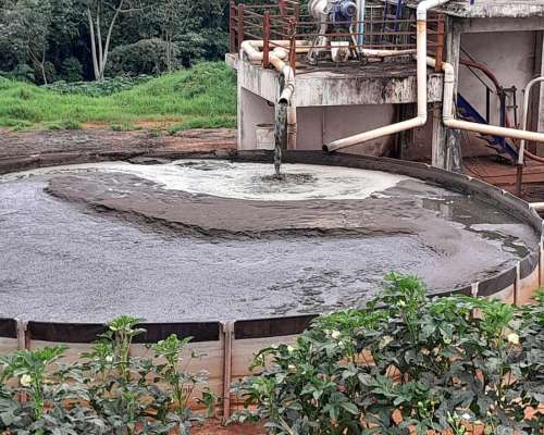 Biodigestor y Ggupo Electrogeno