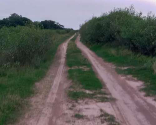 Campo Mixto 400has Tostado