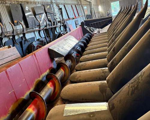 Maicero Mainero Modelo 2008 de 13 a 52