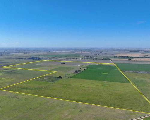 Pcia. de Santa FE - Perez 265 Has