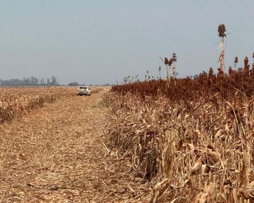 222 Has Agricolas Apto Permuta San Antonio de Litin