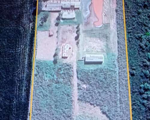 Criadero de Cerdos en Funcionamiento