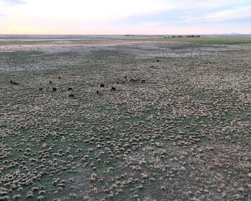 285 Hectareas Bahia Blanca