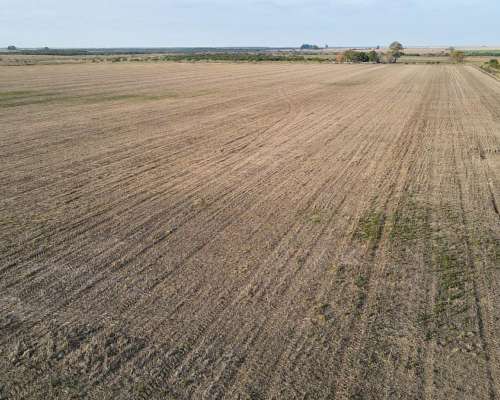 220 Hectáreas Campo Agrícola en Gualeguaychú.