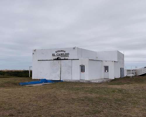 Bahia San Blas, Patagones, Buenos Aires - 294 Ha