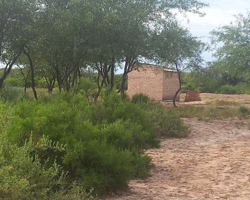 Vendo 56 Hectáreas. Colonia Dora