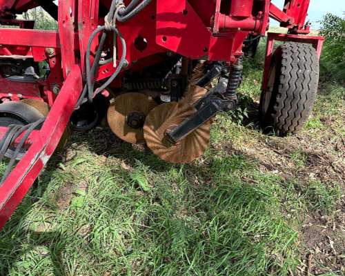 Semb G Grueso Crucianelli Gringa 7035 23 a 35