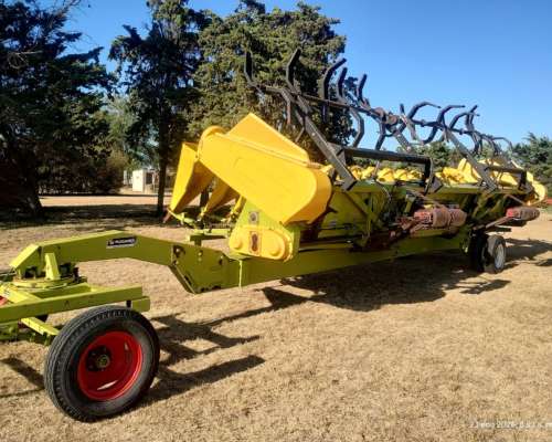 Maicero Allochis 14 a 52 cm con Molinete año 2014