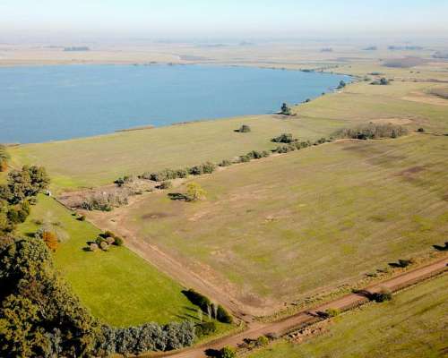 Estancia de 900 Has. con Laguna Propia en Chascomús