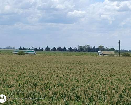 60 Agricolas Sobre Autopista Rosario