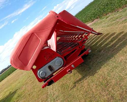 Maicero Ombu 2008 13/52