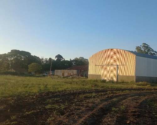 Campo Mixto de 1050 Hectareas