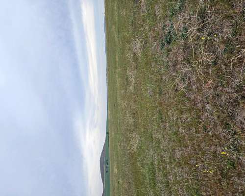 Pie de Sierra Saldungaray