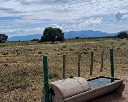 Campo Vendo muy Lindo