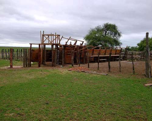 Estanislao del Campo- 527 Ha -formosa