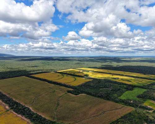 Pcia. de Salta - Rosario de la Frontera 906 Ha