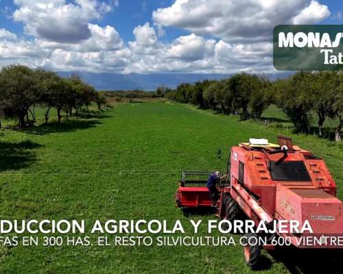 San Javier - 1250has