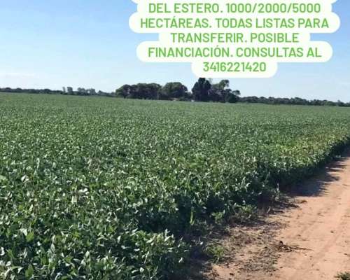 Termas de Rio Hondo , Stgo del Estero 5000 Hect Agric VTA
