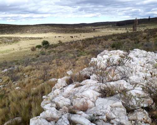 Vendo Campo Urgente muy Lindo