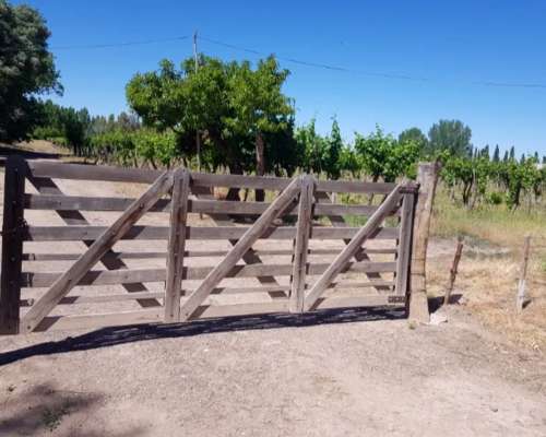 Finca en Atuel Norte