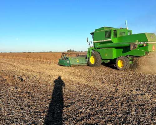 John Deere 1175. Plataforma de 23 Pies.