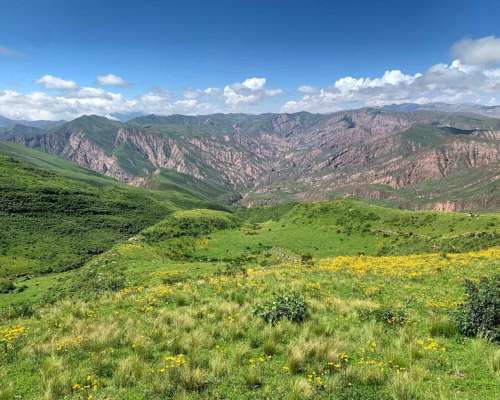 Pcia. de Salta - el Candado 6142 Has