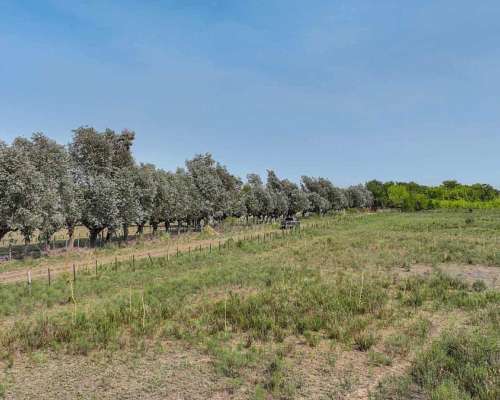 Pcia. de Buenos Aires - Pilar 18 Has