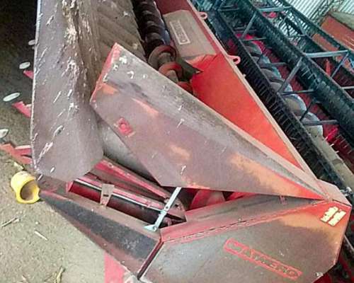 Maicero Mainero 13 a 52. año 2005